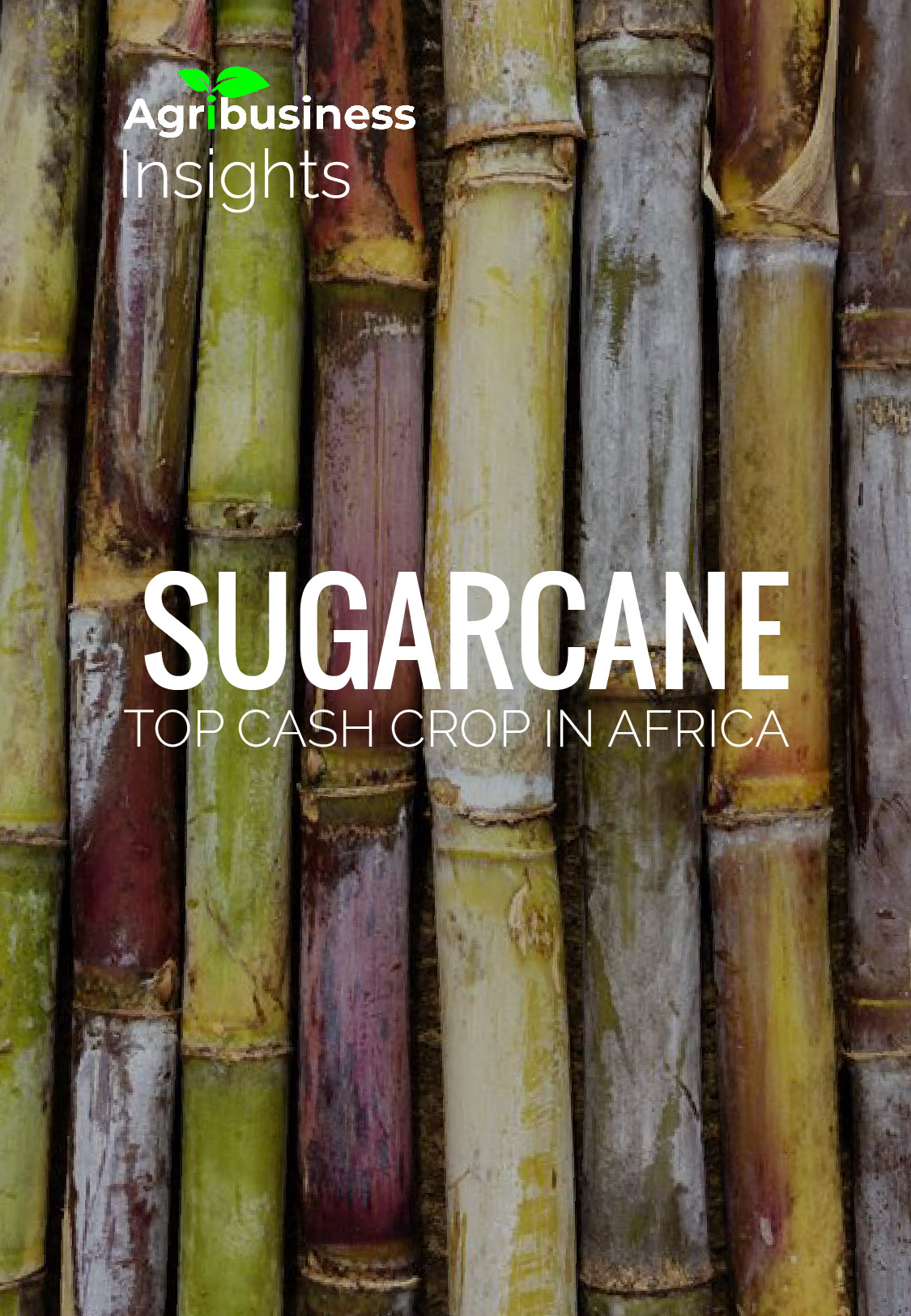 SUGARCANE, top cash crop Africa
